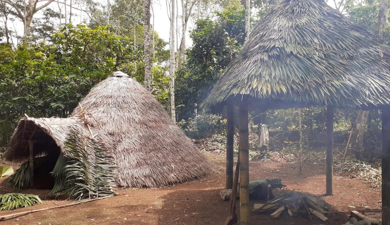 Shipati LodgePuerto Misahuallí エクステリア 写真